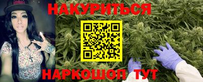 ешки Бийск