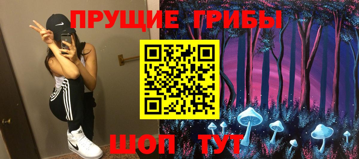 Кизляр  Псилоцибиновые грибы Magic Shrooms  купить   Вход с VPN 