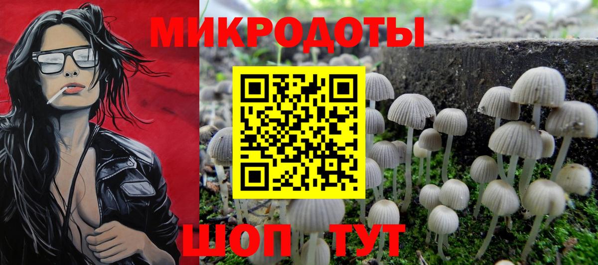 Галлюциногенные грибы Psilocybine cubensis Кизляр